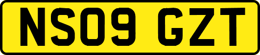 NS09GZT