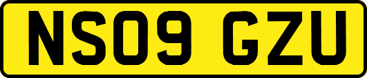 NS09GZU