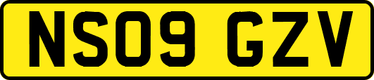 NS09GZV