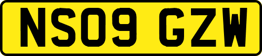 NS09GZW