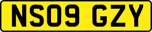 NS09GZY