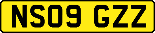 NS09GZZ