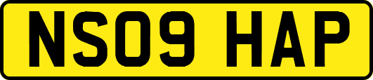 NS09HAP