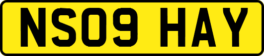 NS09HAY