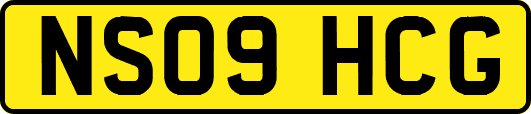 NS09HCG