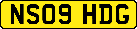 NS09HDG