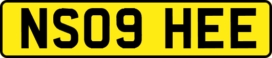 NS09HEE