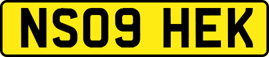 NS09HEK