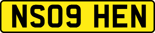 NS09HEN
