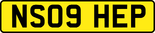 NS09HEP
