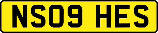 NS09HES