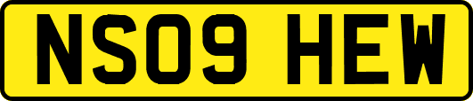 NS09HEW