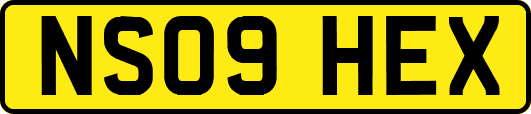 NS09HEX
