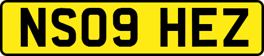 NS09HEZ