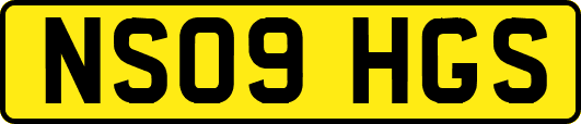 NS09HGS