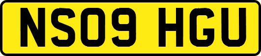 NS09HGU