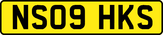 NS09HKS