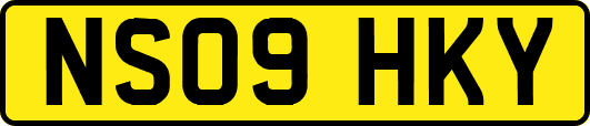 NS09HKY