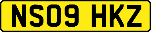 NS09HKZ