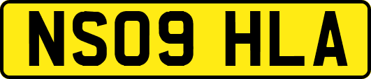 NS09HLA