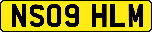 NS09HLM