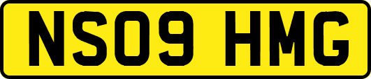 NS09HMG