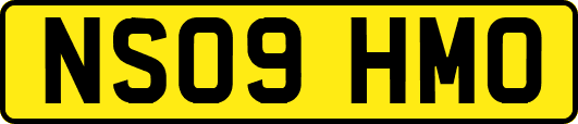 NS09HMO