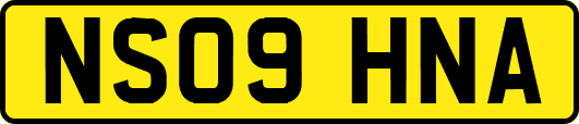 NS09HNA