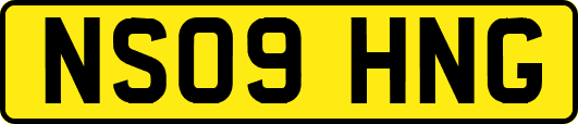 NS09HNG