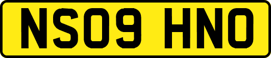 NS09HNO