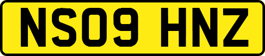 NS09HNZ