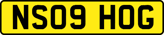 NS09HOG