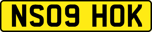 NS09HOK