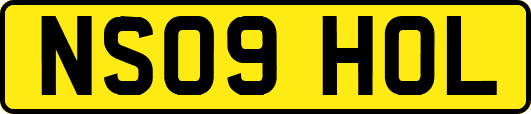 NS09HOL