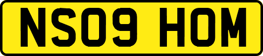 NS09HOM