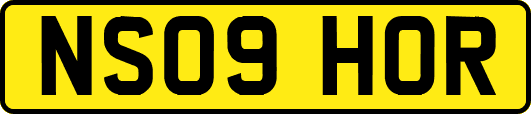 NS09HOR