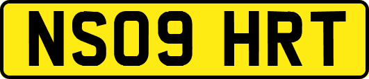 NS09HRT