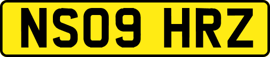 NS09HRZ