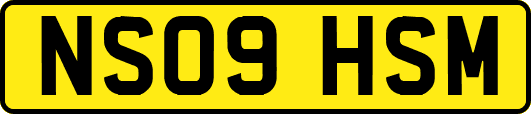 NS09HSM