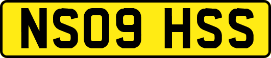 NS09HSS