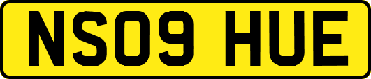 NS09HUE