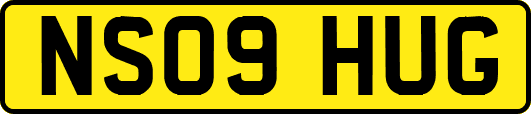 NS09HUG