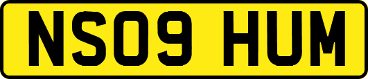 NS09HUM