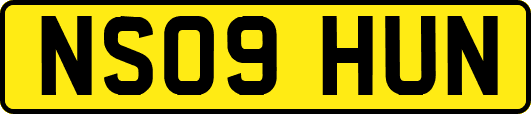 NS09HUN
