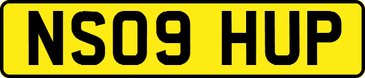 NS09HUP