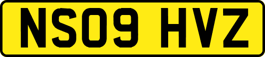 NS09HVZ