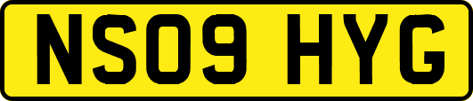 NS09HYG