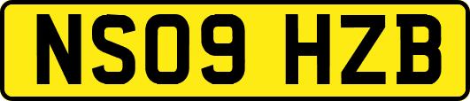 NS09HZB