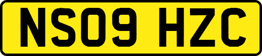 NS09HZC