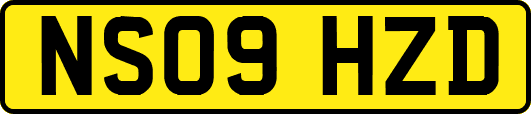 NS09HZD